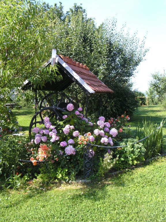 Panorama B&B Ptuj Exterior photo