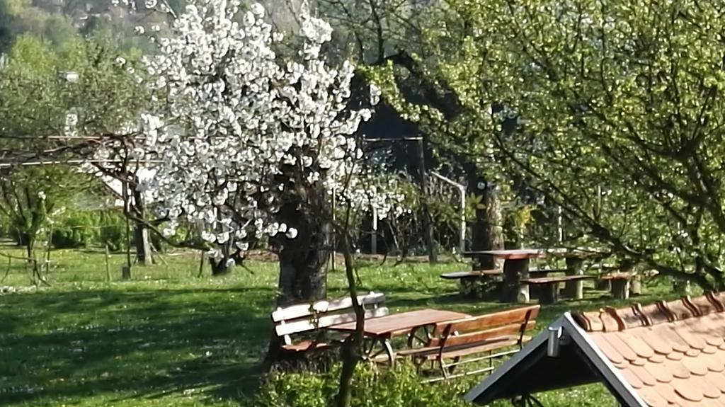 Panorama B&B Ptuj Exterior photo