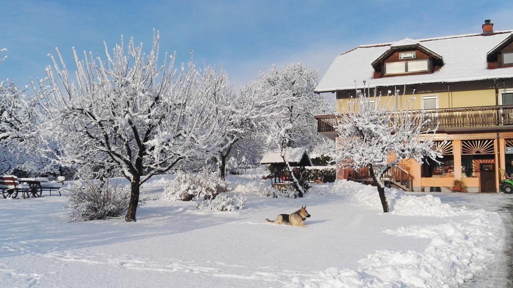 Panorama B&B Ptuj Exterior photo