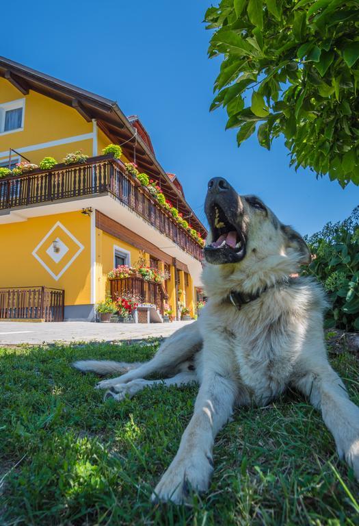 Panorama B&B Ptuj Exterior photo
