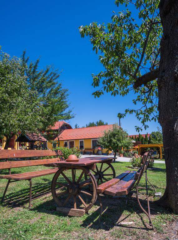 Panorama B&B Ptuj Exterior photo