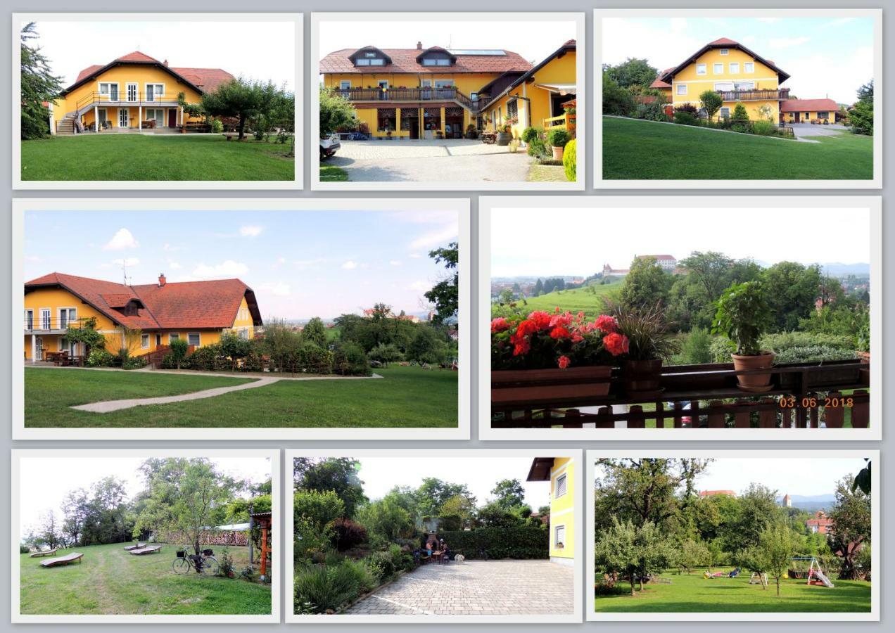 Panorama B&B Ptuj Exterior photo