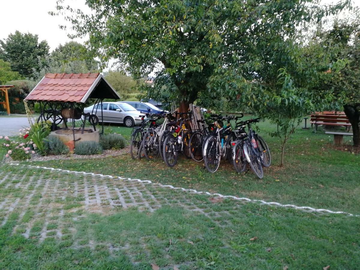 Panorama B&B Ptuj Exterior photo