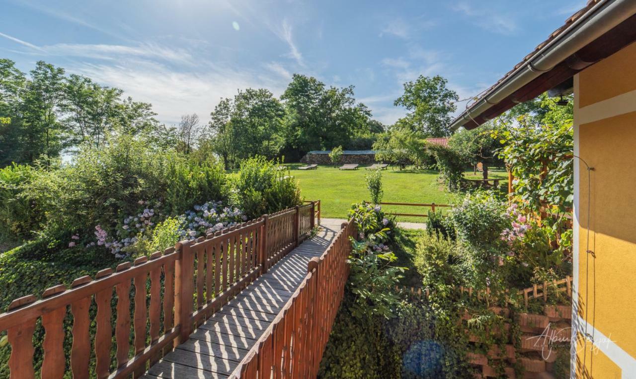 Panorama B&B Ptuj Exterior photo